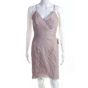 Jim Hjelm Occasions Lace Dress Pink